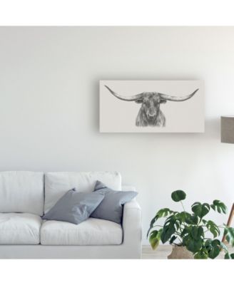 Ethan Harper Longhorn Bull Canvas Art - 37" x 49"
