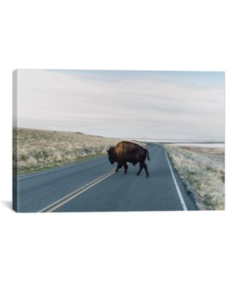 Buffalo Bison by Chelsea Victoria Wrapped Canvas Print - 26" x 40"