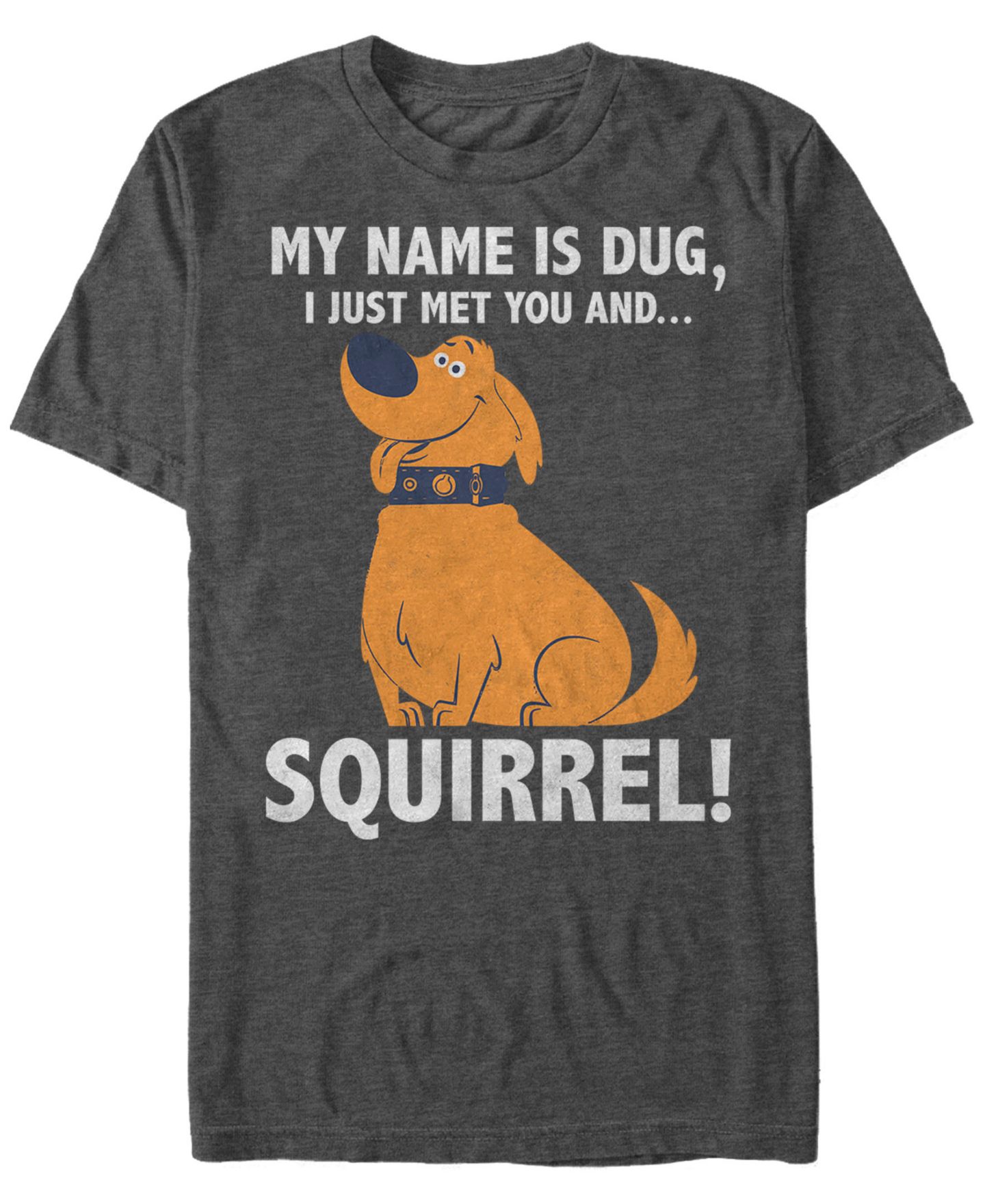 Мужская футболка Fifth Sun Disney Pixar Up My Name is Dug Squirrel Short Sleeve, цвет: Угольный — фото 1