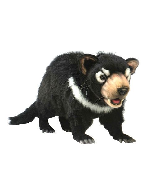 tasmanian devil plush toy