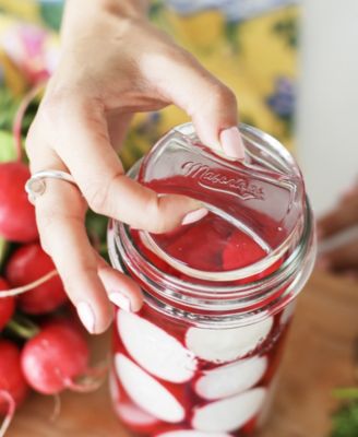 Masontops Regular Mouth Pickle Pebbles - Pack of 4