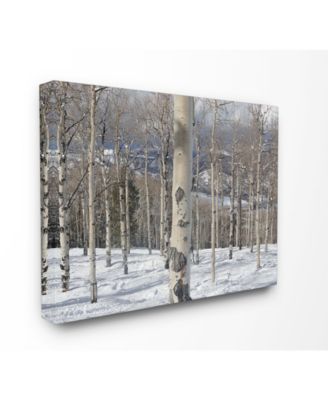 Winter Birches Photography Canvas Wall Art, 24" x 30"