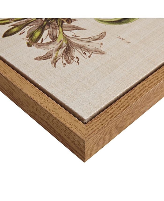 Martha Stewart Collection Martha Stewart Herbal Botany Set Framed Linen