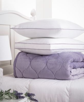 PowerNap Dream Infusion Lavender Scented Soft Touch Pillow, Standard