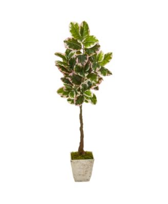 Nearly Natural - 69" Variegated Rubber Leaf Artificial Tree in Country White Planter Real Touch