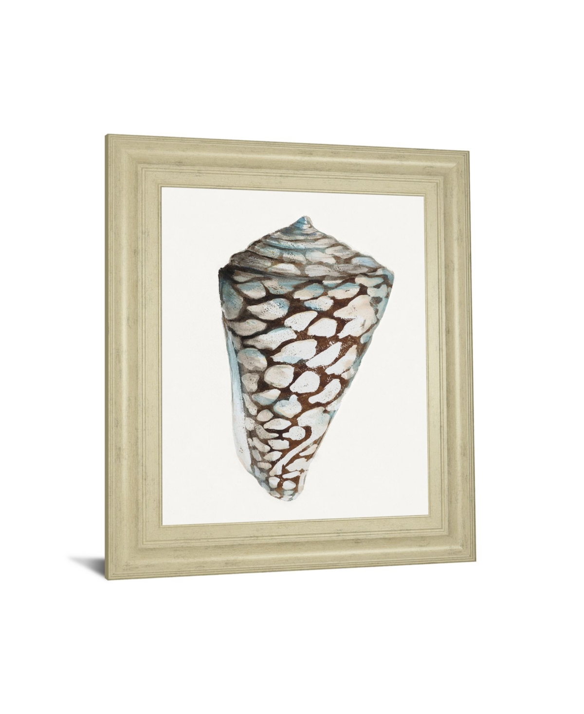 Classy Art Modern Shell With Teal Il by Patricia Pinto Framed Print Wall Art - 22