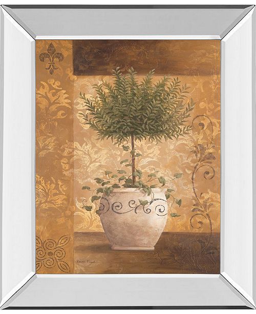 Classy Art Topiary Il By Vivian Flasch Mirror Framed Print Wall