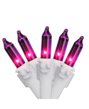 Shop Northlight Set Of 100 Purple-pink Mini Christmas Lights 2.5" Spacing