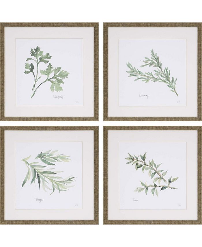 Paragon Picture Gallery Paragon Herbs Framed Wall Art Set of 4, 17