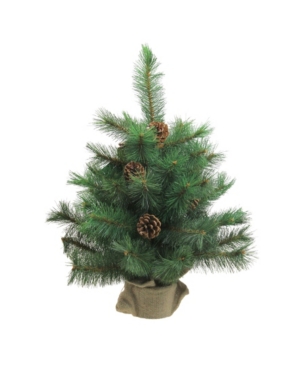 Northlight 18" Royal Oregon Pine Artificial Christmas Tree In Burlap Base In Green