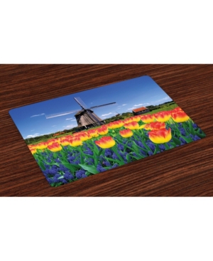 Ambesonne Landscape Place Mats Set of 4
