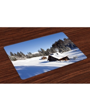 Ambesonne Winter Place Mats Set of 4