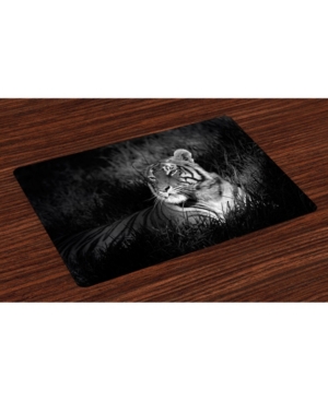 Ambesonne Place Mats Set of 4