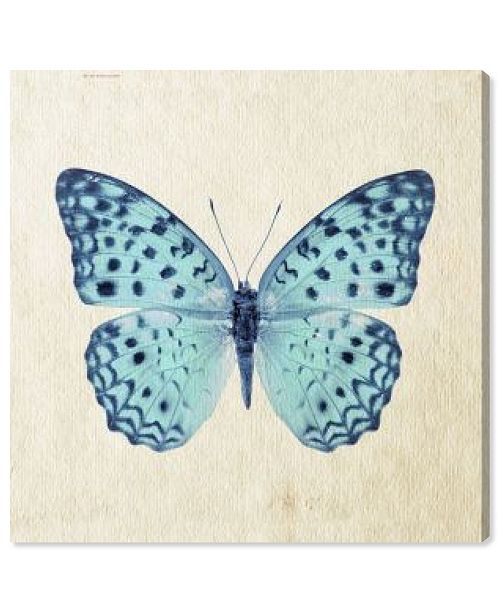 Oliver Gal Blue Butterfly Canvas Art Collection Reviews All