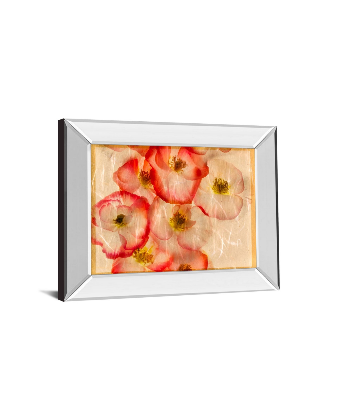 Classy Art Papaver Dreams Iii by Harold Davis Mirror Framed Print Wall Art,