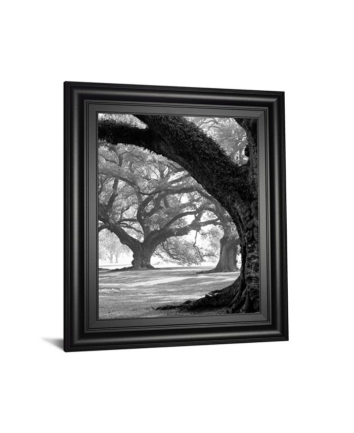 Classy Art Oak Alley, West Row by Guion Framed Print Wall Art, 22" x 26" Macy's