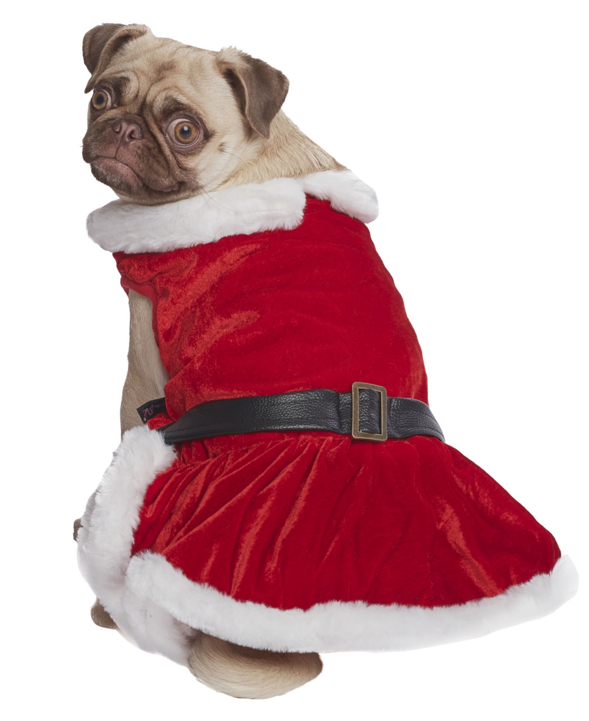 Parisian Pet Mrs Claus Winter Dress