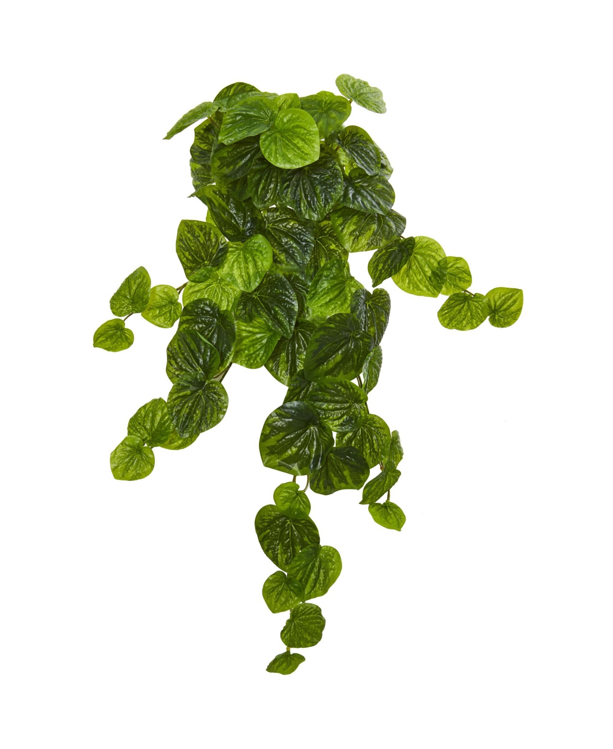 UPC 192897000246 product image for Nearly Natural 25