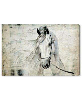 Antiqus Equus Canvas Art - 24" x 36" x 1.5"