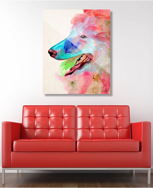 Creative Gallery Scout In Red Dog Abstract 24 X 36 Acrylic Wall
