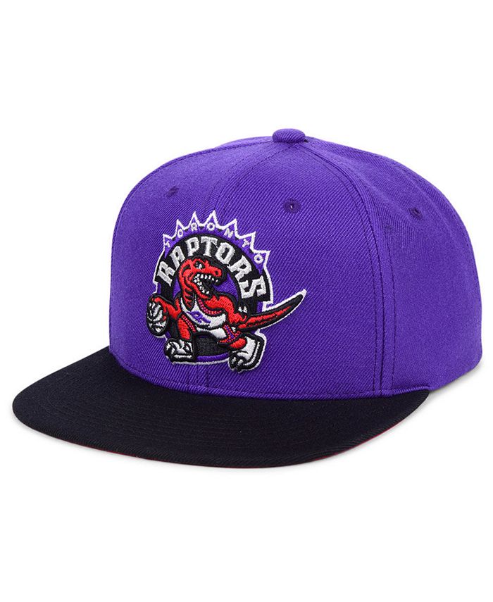 Classic raptors hat outlet