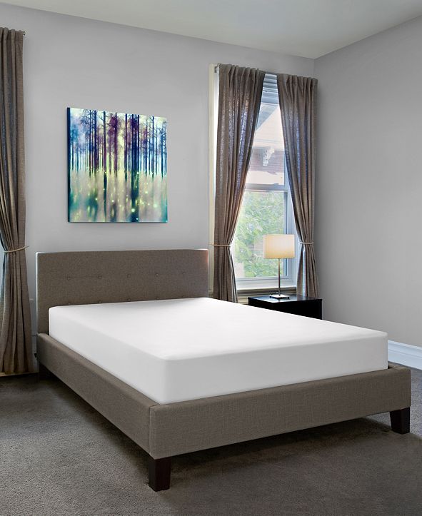 Sealy Soft Comfort Fitted Mattress Protector, King & Reviews Mattress