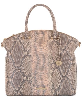 brahmin bags macys