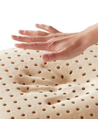 Dream Collection Coconut Aromatherapy Memory Foam Pillow, Standard