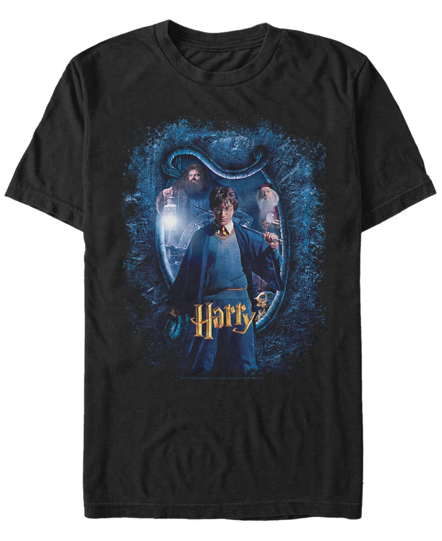 Мужская футболка Fifth Sun Harry Potter Chamber of Secrets Blue Poster Short Sleeve — фото 1
