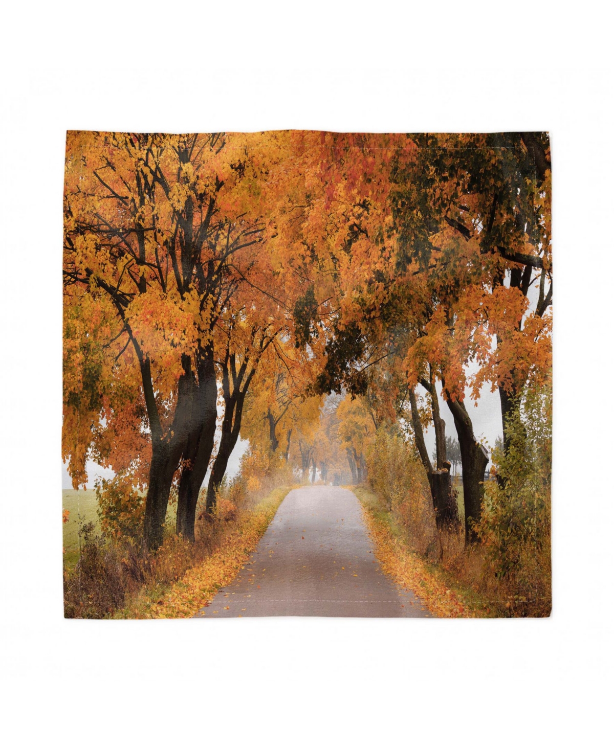 Ambesonne Fall Set of 4 Napkins, 18