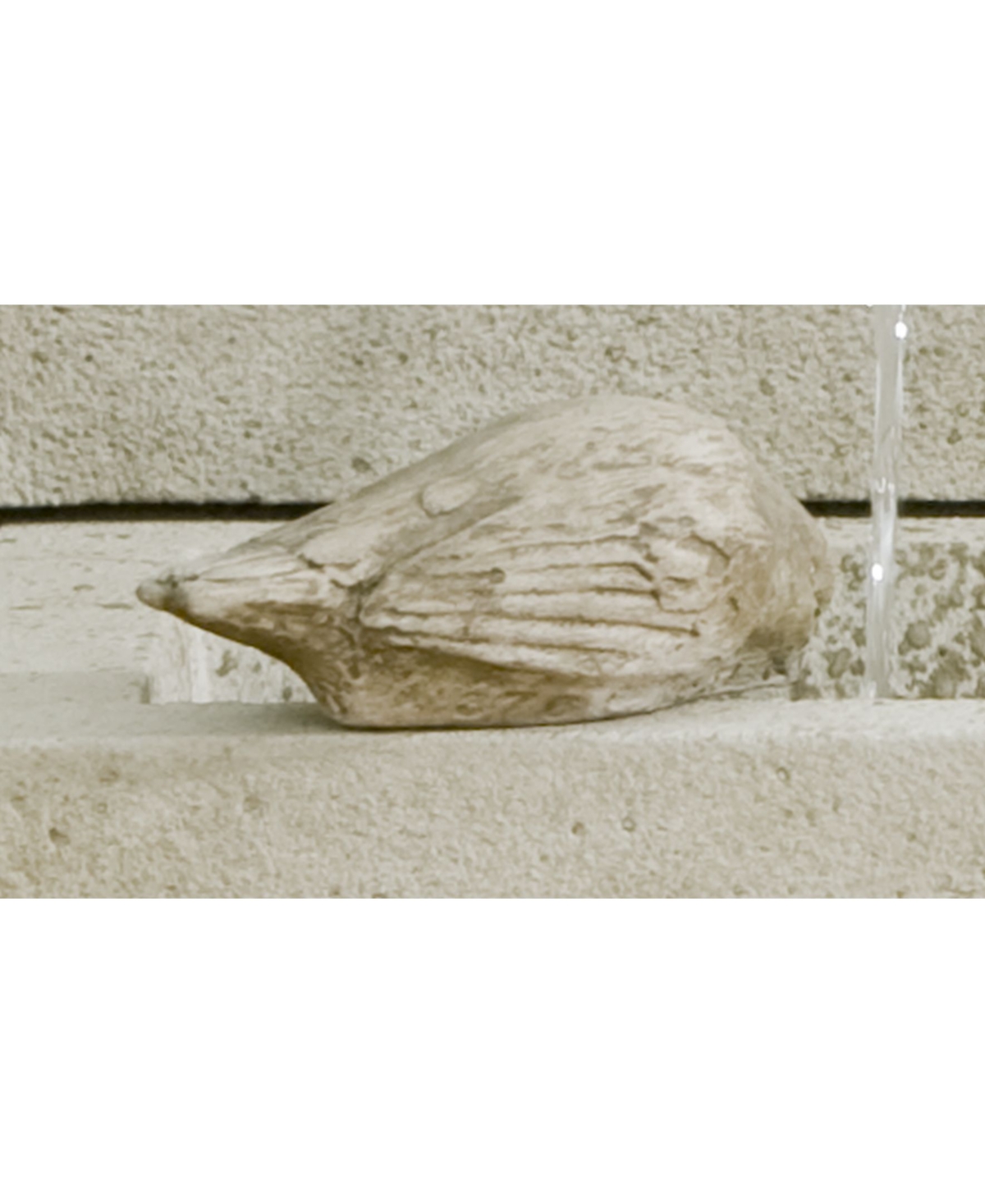 Campania International Solo Garden Statue