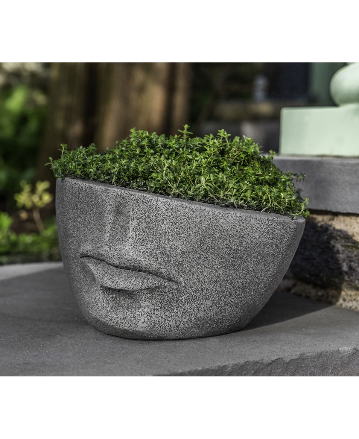 Faccia Planter - Sage