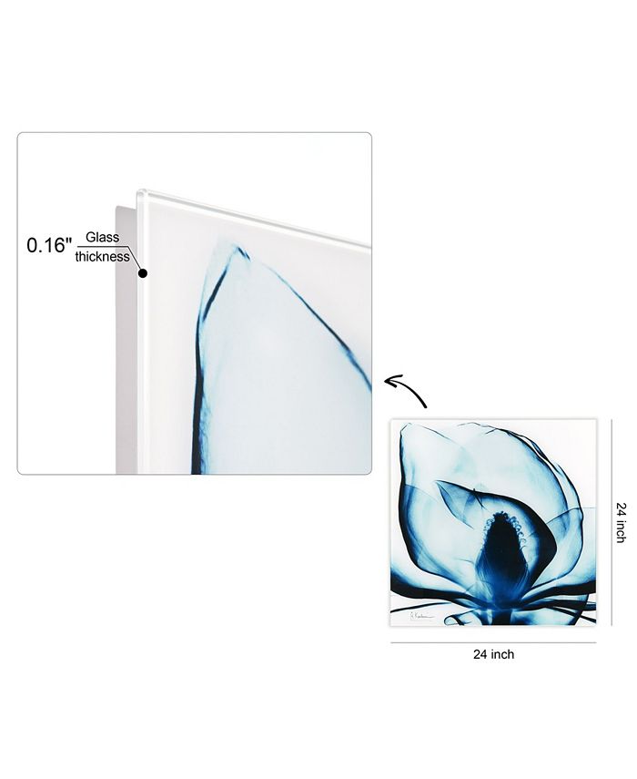 Empire Art Direct Blue Magnolia x-ray Frameless Free Floating Tempered ...