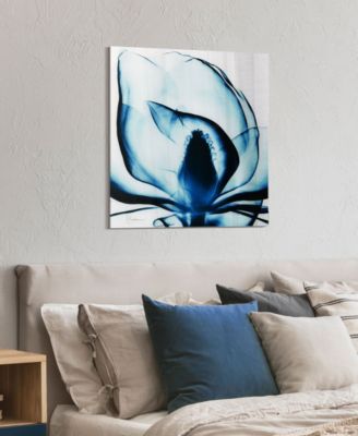 Blue Magnolia x-ray Frameless Free Floating Tempered Glass Panel Graphic Wall Art, 24" x 24" x 0.2"