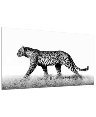 Fearless 1 and 2 Frameless Free Floating Tempered Glass Panel Graphic Wall Art, 24" x 48" x 0.2"