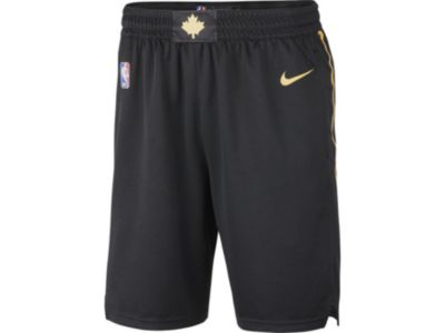 nike raptors shorts