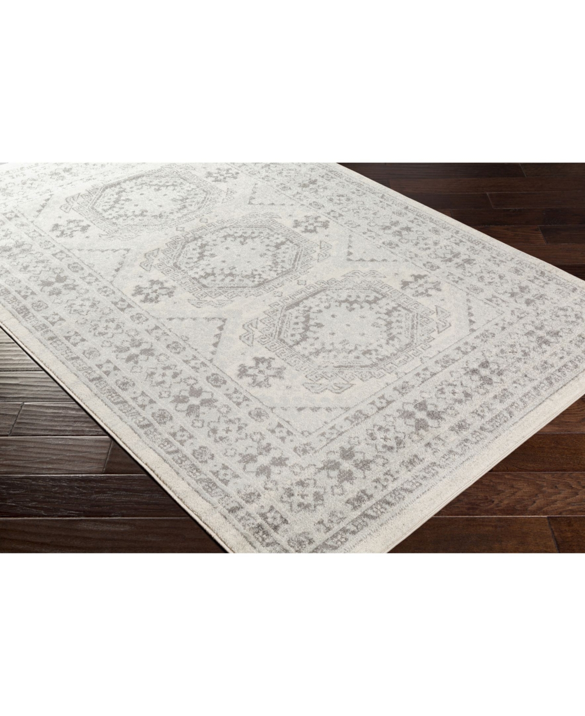 Livabliss Chester Che-2309 Area Rug