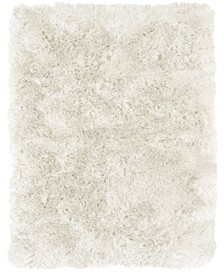 CLOSEOUT! Whitney R4550  2' x 3'4" Area Rugs