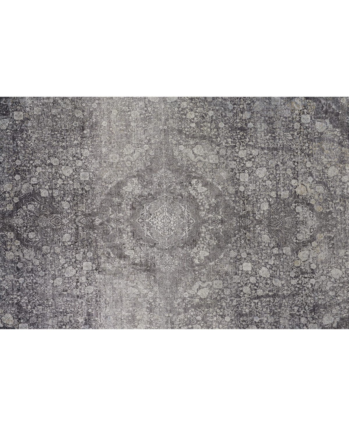 Feizy Sarrant R3967Area Rug - Charcoal
