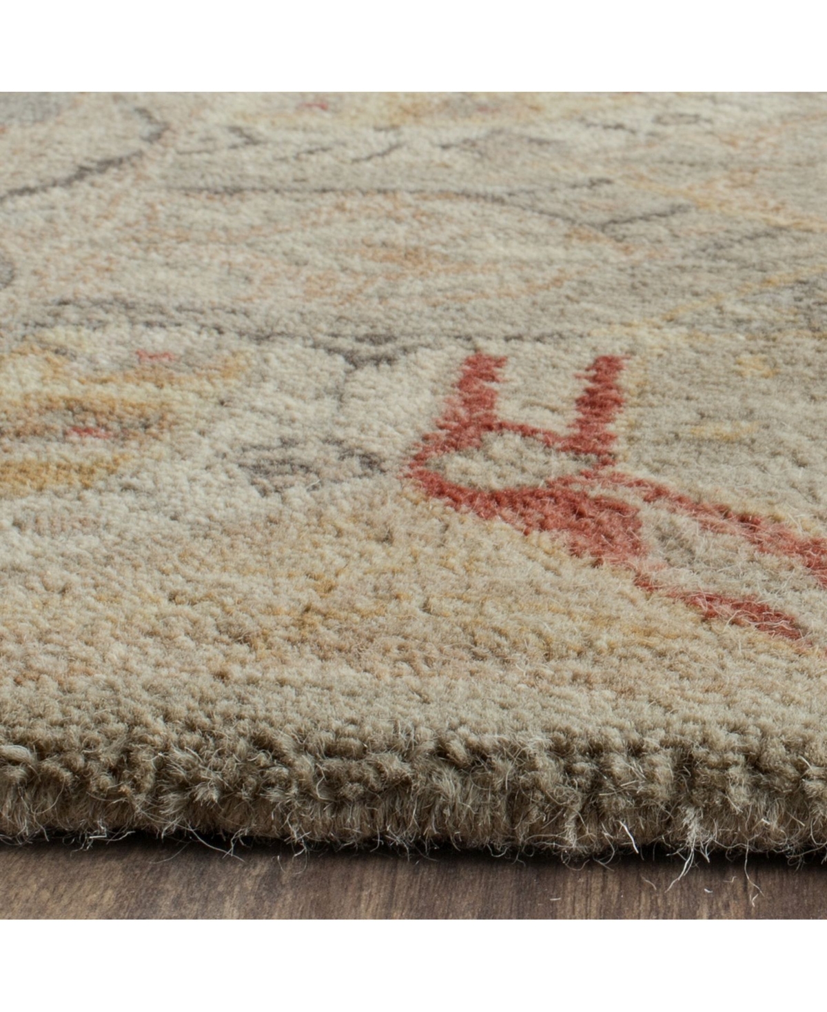 Safavieh Antiquity At830Area Rug - Beige