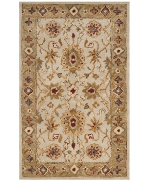Safavieh Antiquity At816 Gray And Beige 3' X 5' Area Rug