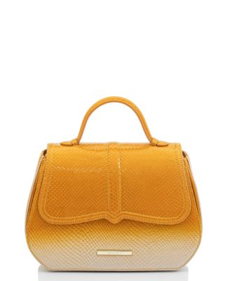 Brahmin