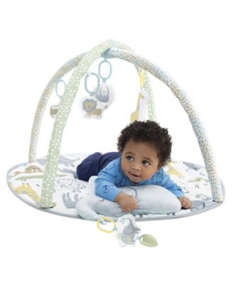 Safari Play Gym