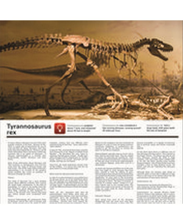 Nsi Smithsonian Diggin Up Dinosaurs T Rex Macys 