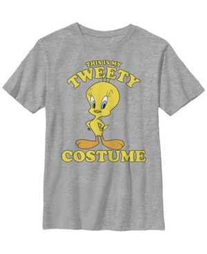 Fifth Sun Looney Tunes Big Boys This Is My Tweety Costume Tee