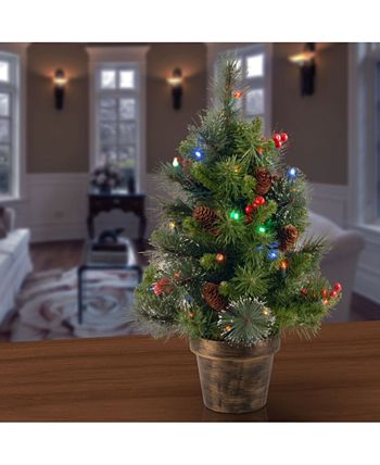 National Tree Company - 2' Crestwood Spruce Small Tree with Silver Bristle, Cones, Red Berries and Glitter in a Plastic Bronze Pot with 35 Battery Operated Multi LED Lights