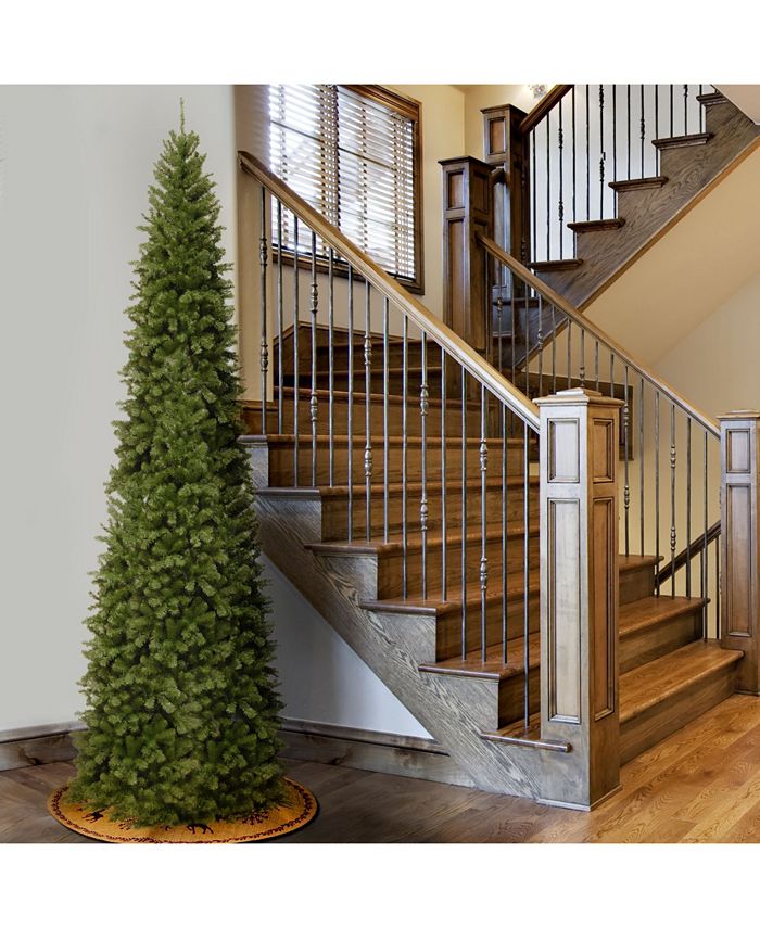 6.5 ft. North Valley Spruce Pencil Slim Tree