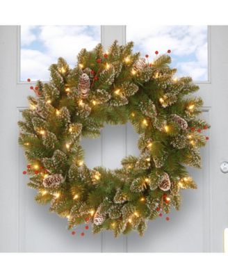 National Tree Company National Tree 24" Glittery Mountain Spruce Wreath with White Edged Cones, Red Berries and 50 Warm White Battery Operated LED Lights with Timer