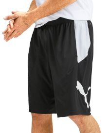 Men's 10" Training Cat Shorts