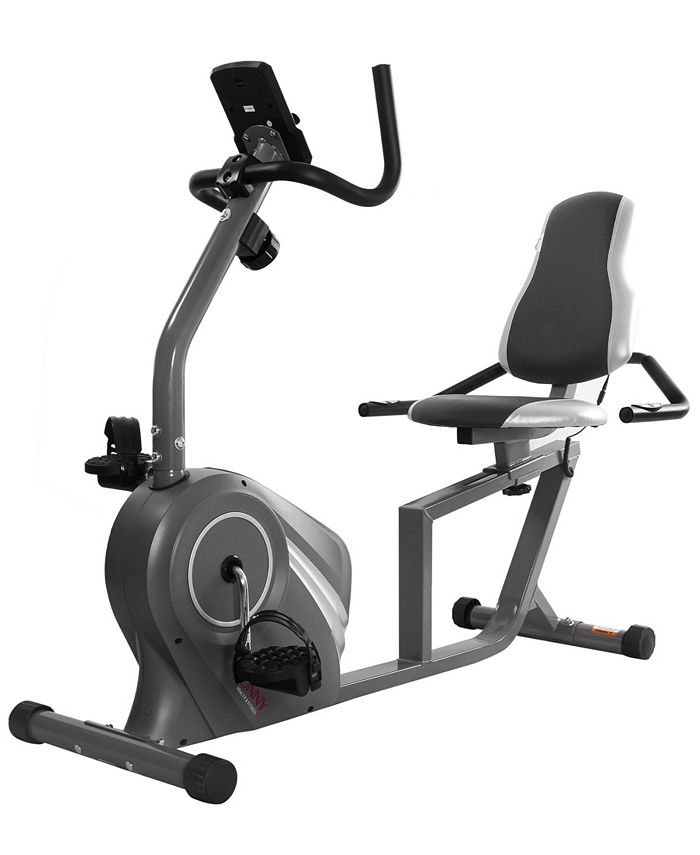 Sunny Health & Fitness Magnetic Recumbent Bike & Reviews - Exercise ...